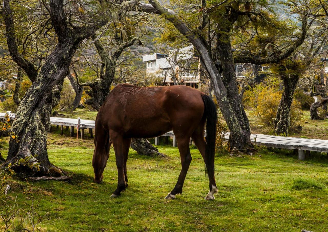 Pampa Hostel Torres del Paine National Park ภายนอก รูปภาพ